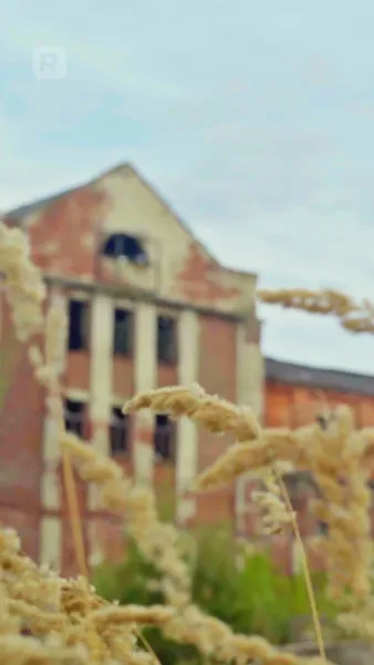 แต่งงานตามจังหวะหัวใจ