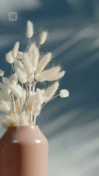 แต่งงานตามจังหวะหัวใจ