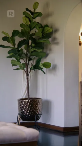 แต่งงานตามจังหวะหัวใจ