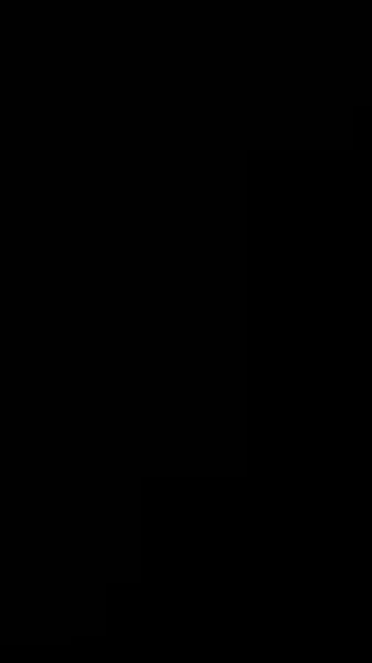 เจ้าสาวที่แต่งงานแทน