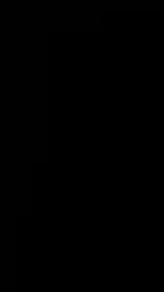 เจ้าสาวที่แต่งงานแทน