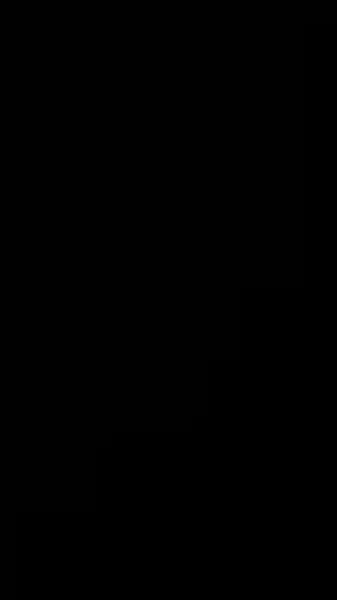 เจ้าสาวที่แต่งงานแทน