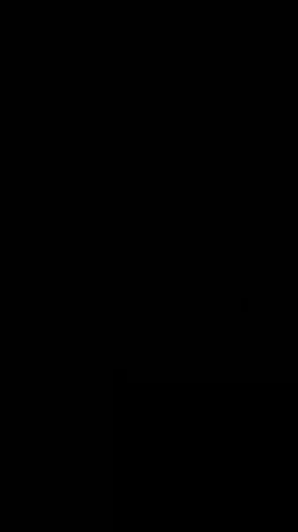 เจ้าสาวที่แต่งงานแทน