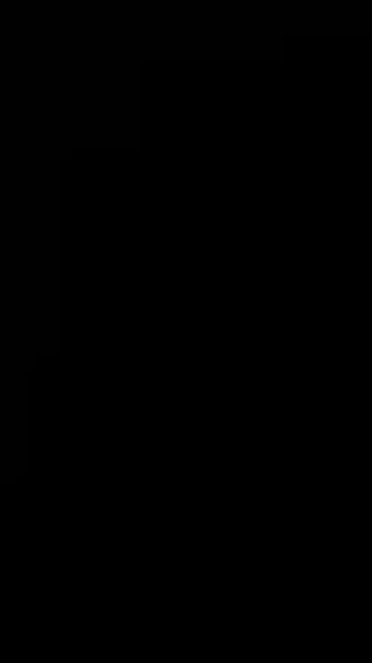 เจ้าสาวที่แต่งงานแทน