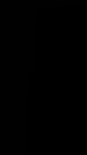 เจ้าสาวที่แต่งงานแทน