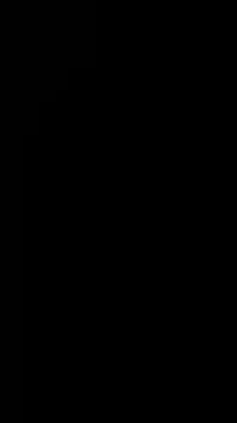 เจ้าสาวที่แต่งงานแทน