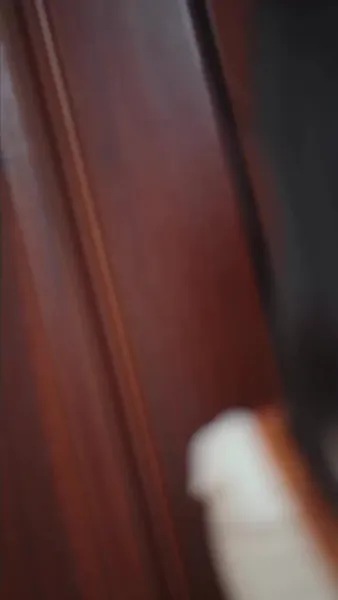 คุณแม่เซ่อซ่ากับลูกสุดที่รักพันล้าน