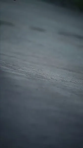 คุณแม่เซ่อซ่ากับลูกสุดที่รักพันล้าน