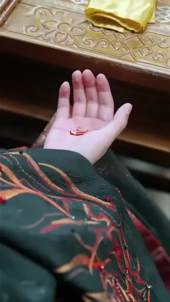 ความอัปยศในผ้าไหม