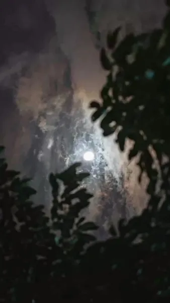 เพชรที่หลุดลอย