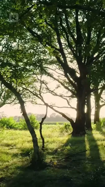 เสน่ห์รักคาวบอยหนุ่ม