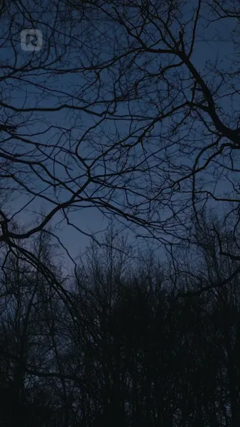 เสน่ห์รักคาวบอยหนุ่ม