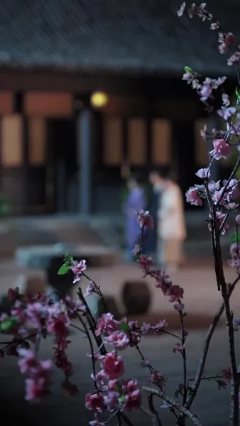 หงส์ลับฟ้าใต้หล้า