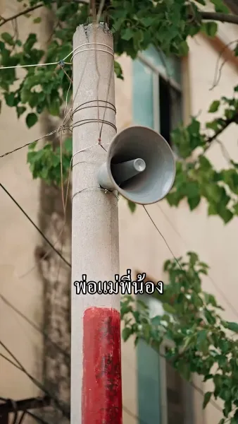 วิวาห์ฟ้าแลบ ดันรักจริง