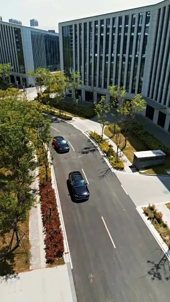 วิวาห์ฟ้าแลบ ดันรักจริง