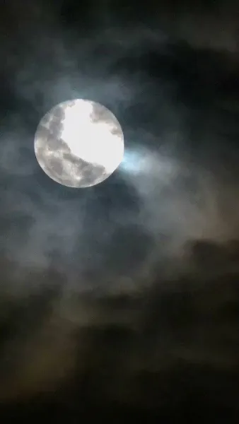 ผู้หญิงคนนี้ผมจอง