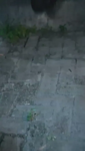 ท่านหญิงทั้งสวยทั้งแซ่บ รัฐทายาทตามขอวิวาห์