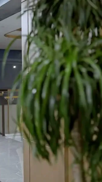 แต่งหลอกกลายเป็นรัก