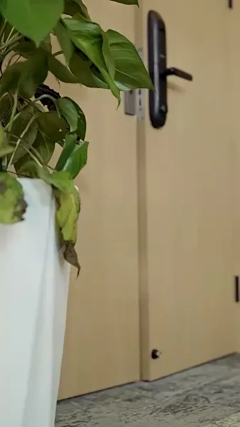 แต่งหลอกกลายเป็นรัก