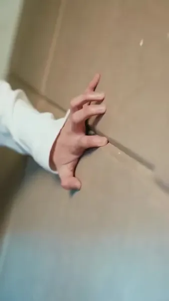 กลยุทธ์รัก: อดีตของศาสตราจารย์