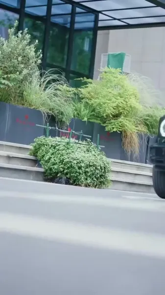 กลยุทธ์รัก: อดีตของศาสตราจารย์