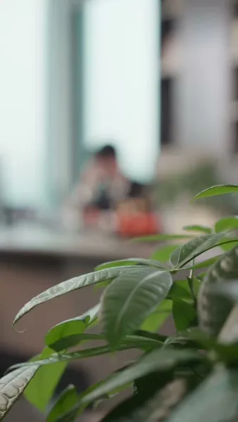 พี่สะใภ้ แต่งงานกับฉันเถอะ