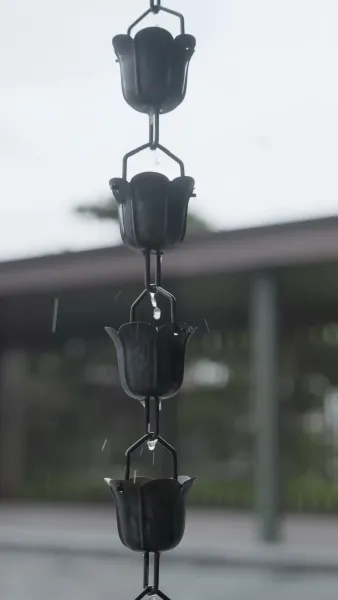 พี่สะใภ้ แต่งงานกับฉันเถอะ