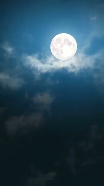 รักนี้ชดใช้ข้ามภพ