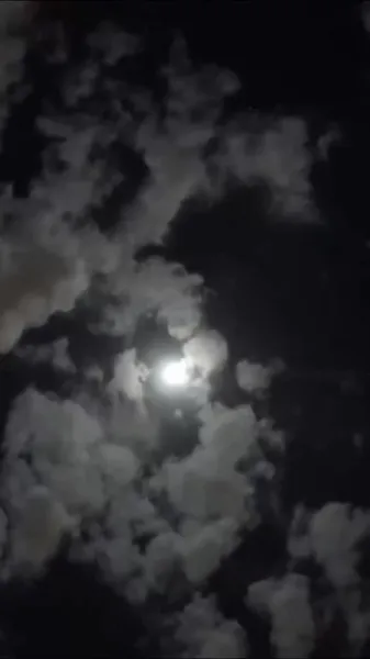 การแต่งงานของฉันคือสัญญา