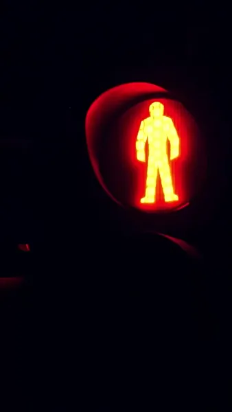 หลังเกิดใหม่คุณหนูตัวจริงขอกลับมาล้างแค้น