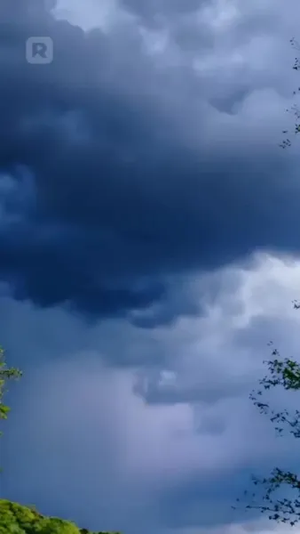 พันธนาการรัก ราชาอสรพิษ