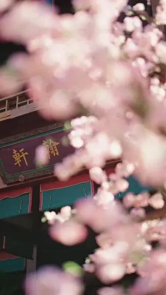 ข้าไม่ได้เกิดมาเป็นลูกอนุ