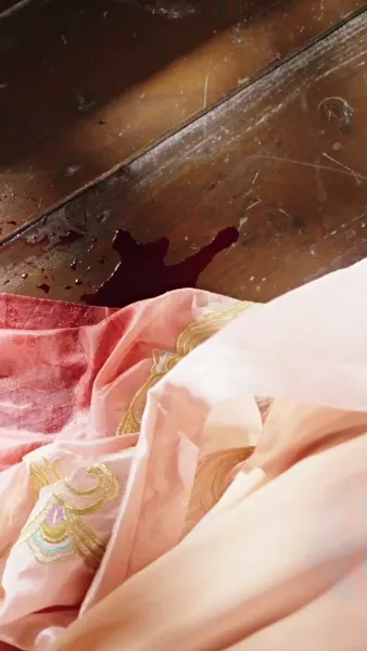 ข้าไม่ได้เกิดมาเป็นลูกอนุ