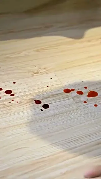 ภรรรยาตาบอด ยอดใจคุณชายกู้