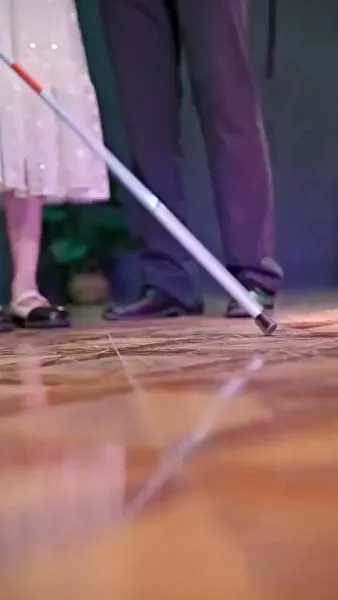 ภรรรยาตาบอด ยอดใจคุณชายกู้