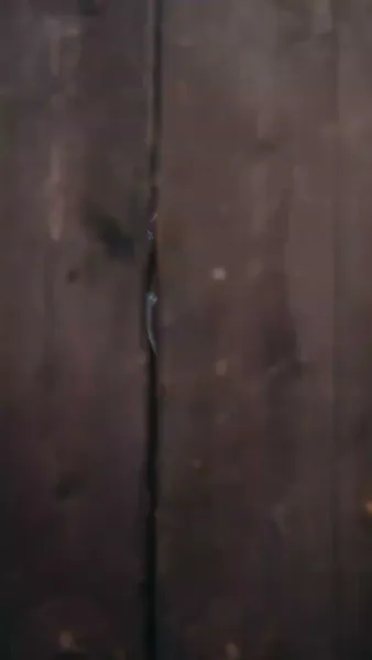 การนำแสงสิทธิ์มาชนะความขาดแคลน