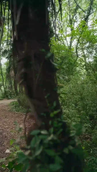 การนำแสงสิทธิ์มาชนะความขาดแคลน