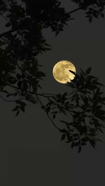 การนำแสงสิทธิ์มาชนะความขาดแคลน