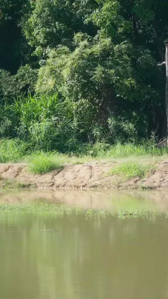 การนำแสงสิทธิ์มาชนะความขาดแคลน