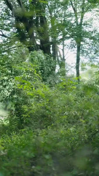 การนำแสงสิทธิ์มาชนะความขาดแคลน