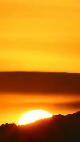 แค่จะดื่ม...ไม่คิดจะรัก 