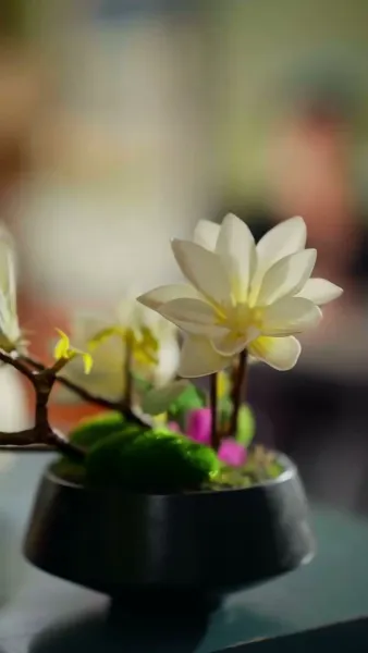 แค่จะดื่ม...ไม่คิดจะรัก 