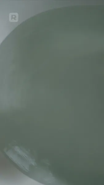 แรงดึงดูดร้ายแรง: เจ้าหญิงลูกผสม