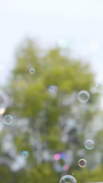 โฉมแทนใต้แสงอำนาจ