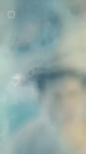 กลับชาติมารัก