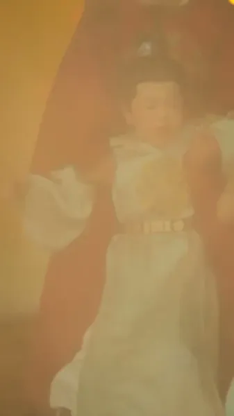 กลีบดอกไม้แช่แข็ง