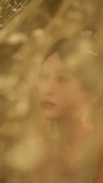 กลีบดอกไม้แช่แข็ง