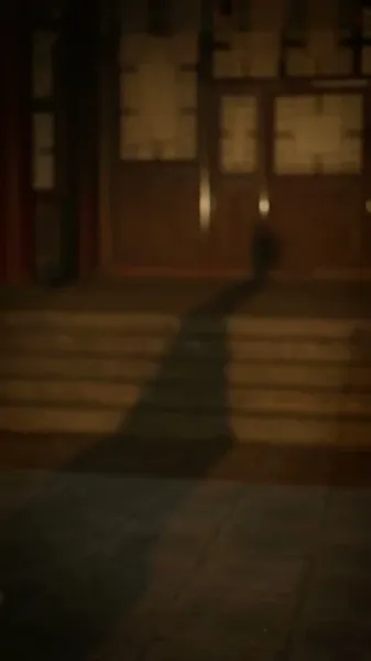 กลีบดอกไม้แช่แข็ง