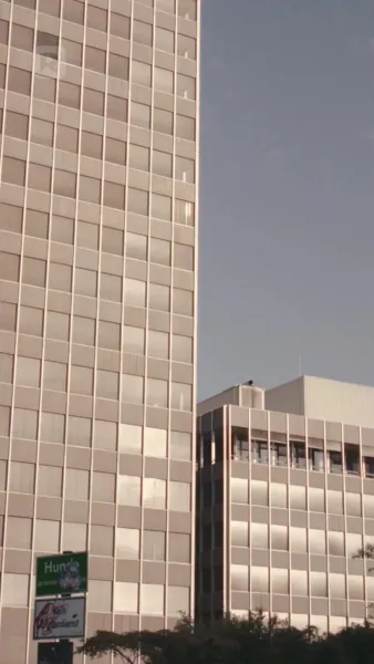 หนีงานแต่งพร้อมเบบี๋ในท้อง