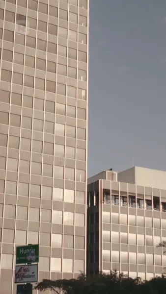 หนีงานแต่งพร้อมเบบี๋ในท้อง